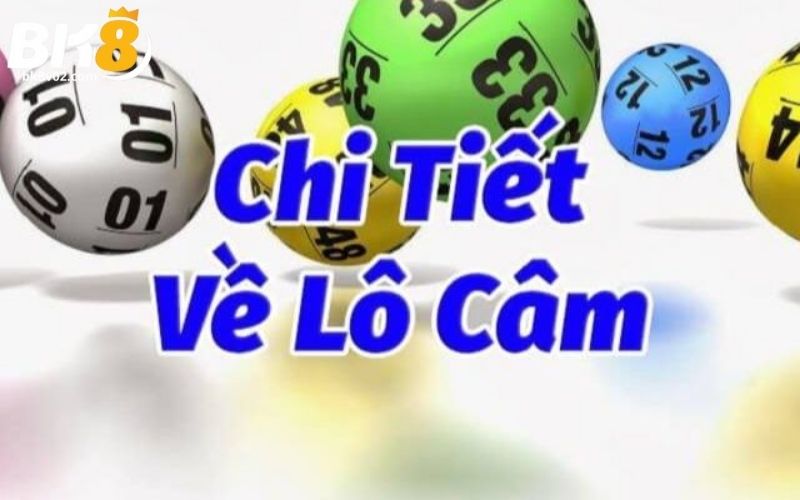 Khái niệm cơ bản về lô câm  